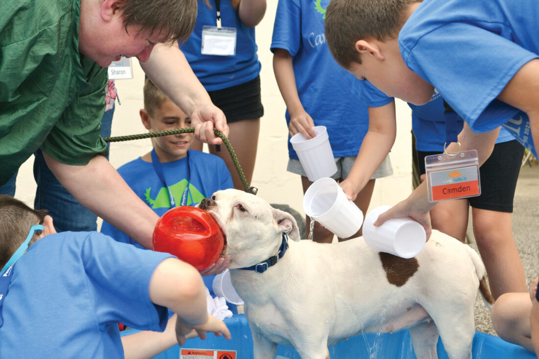 Picture This Ruff Life at Humane Society of Parkersburg’s Camp Ruffin